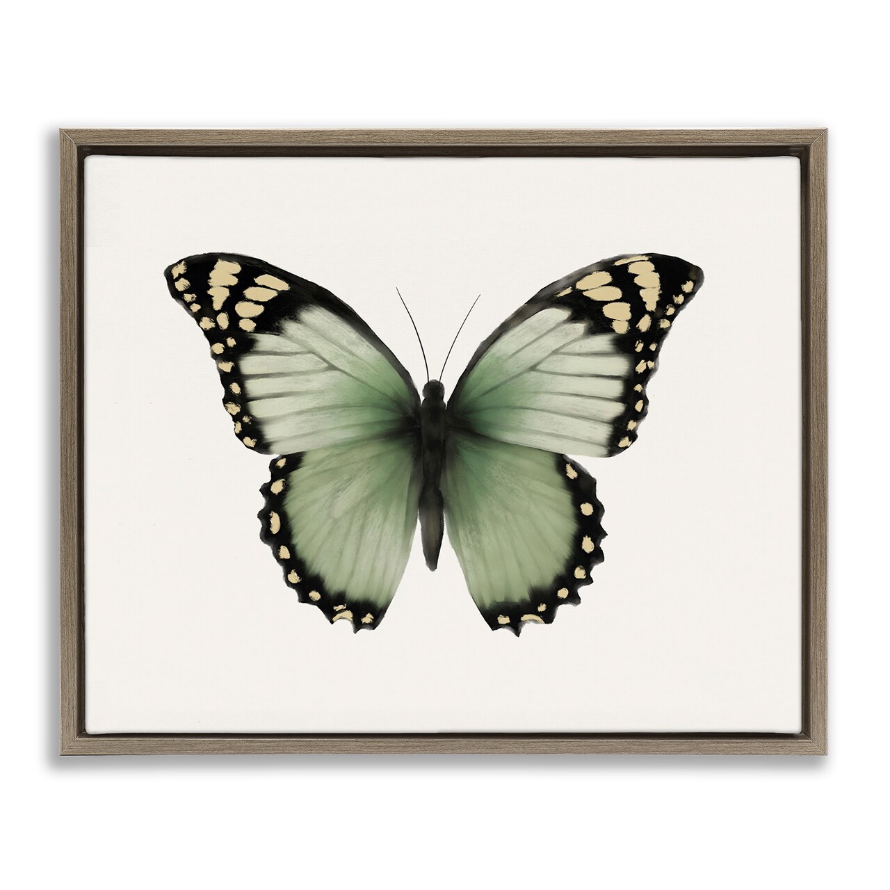 Stupell Industries Green Symmetrical Butterfly Framed Floater Canvas Wall Art Design by Elizabeth Medley